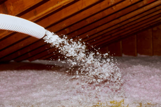 Best Types of Insulation in Matheny, CA